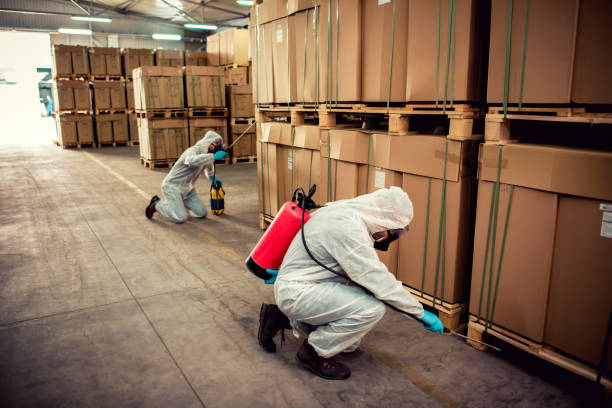 Best Termite Control Services  in Mendenhall, MS