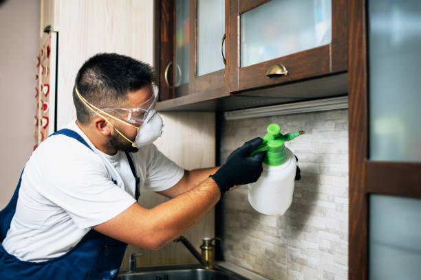 Best Exterminator Services  in Mendenhall, MS