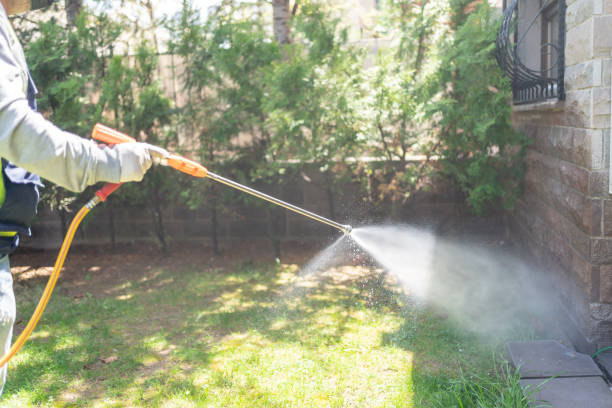 Best Bird Control  in Mendenhall, MS
