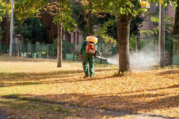 Best Rodent Control Near Me  in Mendenhall, MS