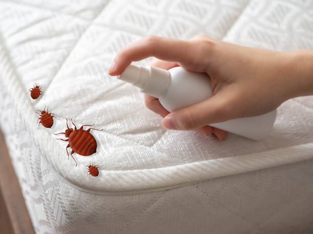 Best Pest Inspection Near Me  in Mendenhall, MS