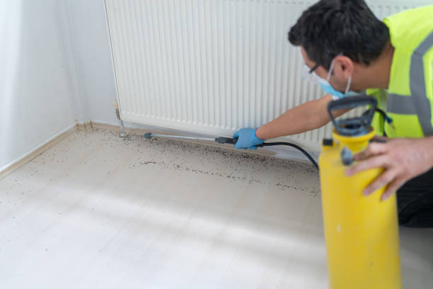 Best Flea Control Services  in Mendenhall, MS